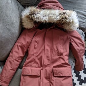 Aritzia Bancroft Parka